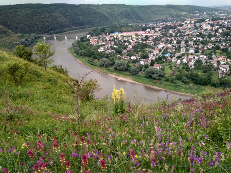 Панорама Залещиков